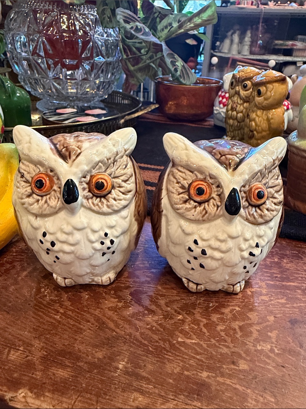 Vintage ceramic owl salt and pepper shakers.